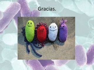 Gracias.
 
