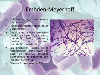 Embden-Meyerhoff
• Es la vía que ocurre con mayor
frecuencia.
• Puede presentarse en aerobios
y anaerobios
• Consiste en la transformación
de glucosa fosforilada a lactato
(metabolito ácido) o etanol y
dióxido de carbono
(metabolitos neutros).
• Los productos finales de la
fermentación constituyen la
base de muchas pruebas
diagnosticas de bacterias con
importancia clínica.
• Genera 2 moléculas de ATP
 