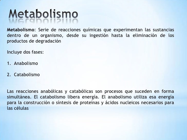 Catabolismo anabolismo