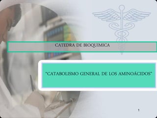 CATEDRA DE BIOQUIMICA



“CATABOLISMO GENERAL DE LOS AMINOÁCIDOS”




                                  1
 