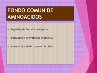 FONDO COMUN DE
AMINOACIDOS
 Digestión de Proteínas exógenas
 Degradación de Proteínas endógenas
 Aminoácidos sintetizados en la célula
 