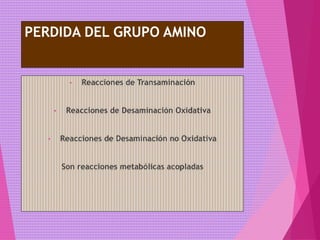 PERDIDA DEL GRUPO AMINO
• Reacciones de Transaminación
• Reacciones de Desaminación Oxidativa
• Reacciones de Desaminación no Oxidativa
Son reacciones metabólicas acopladas
 