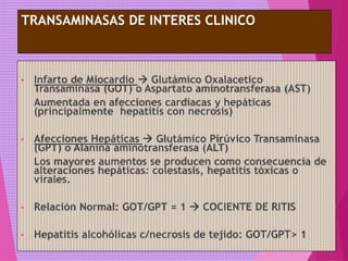 TRANSAMINASAS DE INTERES CLINICO
• Infarto de Miocardio  Glutámico Oxalacetico
Transaminasa (GOT) o Aspartato aminotransferasa (AST)
Aumentada en afecciones cardíacas y hepáticas
(principalmente hepatitis con necrosis)
• Afecciones Hepáticas  Glutámico Pirúvico Transaminasa
(GPT) o Alanina aminotransferasa (ALT)
Los mayores aumentos se producen como consecuencia de
alteraciones hepáticas: colestasis, hepatitis tóxicas o
virales.
• Relación Normal: GOT/GPT = 1  COCIENTE DE RITIS
• Hepatitis alcohólicas c/necrosis de tejido: GOT/GPT> 1
 