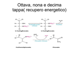 Ottava, nona e decima
tappa( recupero energetico)
 