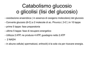 Catabolismo glucosio
o glicolisi (lisi del glucosio)
- ossidazione anaerobica ( in assenza di ossigeno molecolare) del glucosio
- Converte glucosio (6-C) a 2 molecole di ac. Piruvico ( 3-C ) in 10 tappe
- prime 5 tappe: fase preparatoria
- ultime 5 tappe: fase di recupero energetico
- Utilizza 2 ATP, ne produce 4 ATP, guadagno netto 2 ATP
- 2 NADH
- in alcune cellule( spermatozoi, eritrociti) è la sola via per ricavare energia.
 