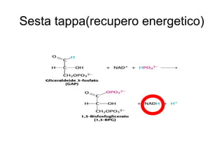 Sesta tappa(recupero energetico)
 