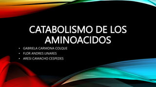 CATABOLISMO DE LOS
AMINOACIDOS
• GABRIELA CARMONA COLQUE
• FLOR ANDRES LINARES
• ARESI CAMACHO CESPEDES
 