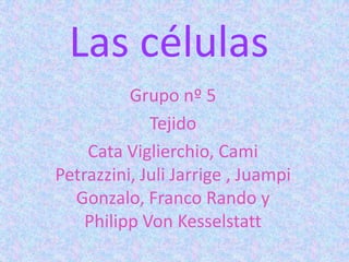 Las células
          Grupo nº 5
             Tejido
    Cata Viglierchio, Cami
Petrazzini, Juli Jarrige , Juampi
  Gonzalo, Franco Rando y
    Philipp Von Kesselstatt
 