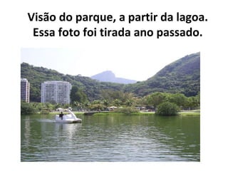 Visão do parque, a partir da lagoa.
 Essa foto foi tirada ano passado.
 