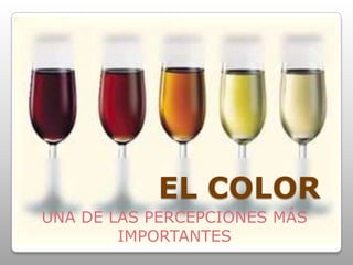 EL COLORUNA DE LAS PERCEPCIONES MÁS IMPORTANTES