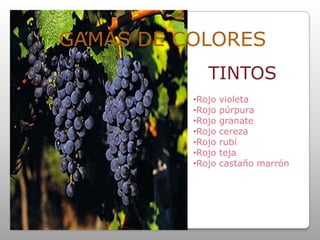 Amarillo verdoso / dorado