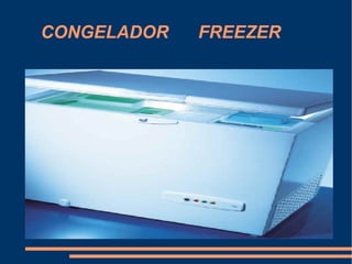 CONGELADOR  FREEZER 