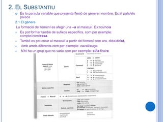 2. El SubstantiuÉs la paraula variable que presenta flexió de gènere i nombre. Ex:el país/els països2.1 El gènere La formació del femení es afegir una –a al masculí. Ex:noi/noiaEs pot formar també de sufixos específics, com per exemple: compte/comtessa. 