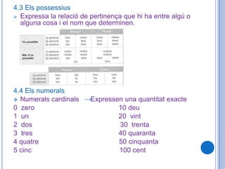 3. L’AdjectiuÉs una paraula variable que presenta flexió de gènere i nombre. Ex: curt-curta,curts-curtes3.1 Formació del gènere i nombreEs classifiquen segons:Si tenen dues terminacions: estret/estreta/estrets/estretes