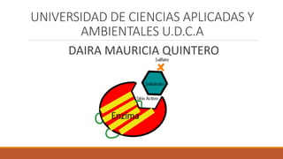 UNIVERSIDAD DE CIENCIAS APLICADAS Y
AMBIENTALES U.D.C.A
DAIRA MAURICIA QUINTERO
 