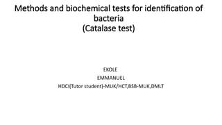 catalase test- principle, procedure, types, results,... Comprehensive Guide to Catalase Test for Bacterial Identification | PPTX