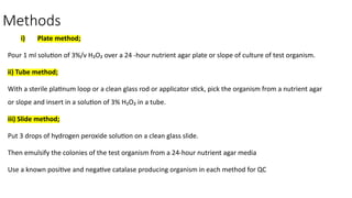 catalase test: purpose, principle, procedure, results... Comprehensive Guide to Catalase Test for Bacterial Identification | PPTX