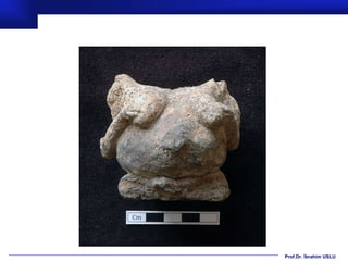 Prof.Dr. İbrahim USLU
 