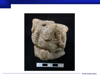 Prof.Dr. İbrahim USLU
 