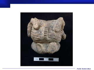 Prof.Dr. İbrahim USLU
 