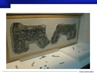 Prof.Dr. İbrahim USLU
 