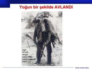 Yoğun bir şekilde AVLANDI




                            Prof.Dr. İbrahim USLU
 