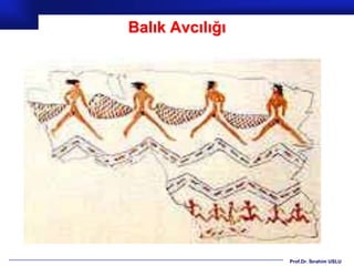 Balık Avcılığı




                 Prof.Dr. İbrahim USLU
 