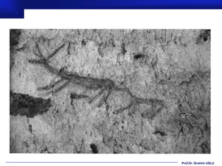 Prof.Dr. İbrahim USLU
 