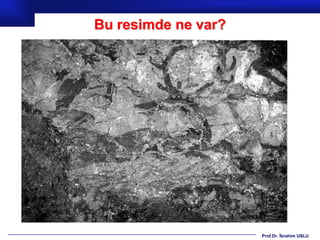 Bu resimde ne var?




                     Prof.Dr. İbrahim USLU
 
