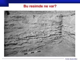 Bu resimde ne var?




                     Prof.Dr. İbrahim USLU
 