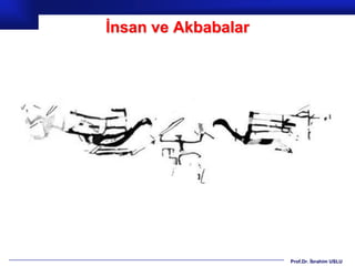 İnsan ve Akbabalar




                     Prof.Dr. İbrahim USLU
 