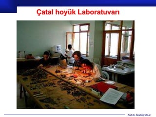 Çatal hoyük Laboratuvarı




                           Prof.Dr. İbrahim USLU
 