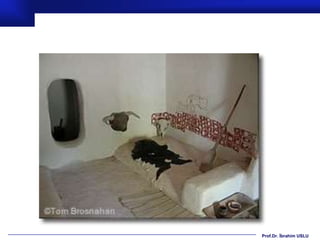 Prof.Dr. İbrahim USLU
 