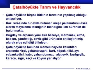 Çatalhöyükte Tarım ve Hayvancılık
• Çatalhöyük'te birçok bitkinin tarımının yapılmış olduğu
  anlaşılıyor.
• Kazı sırasında bir evde bulunan meşe palamutunu esas
  alarak mayalama tekniğinin bilindiğini ileri sürenler de
  bulunmakta.
• Buğday ve arpanın yanı sıra bezelye, mercimek, elma,
  badem, çamfıstığı, ceviz gibi ürünlerin ehlileştirilmiş
  olarak elde edildiği biliniyor.
• Çatalhöyük'te bulunan memeli hayvan kalıntıları
  arasında kirpi, yabantavşanı, kurt, köpek, tilki, ayı,
  yabankedisi, katır, yabandomuzu, alageyik, kızılgeyik,
  karaca, sığır, keçi ve koyun yer alıyor.


                                                  Prof.Dr. İbrahim USLU
 