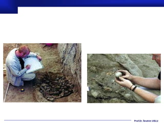 Prof.Dr. İbrahim USLU
 