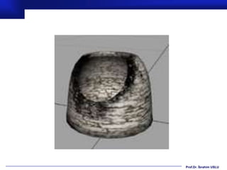 Prof.Dr. İbrahim USLU
 