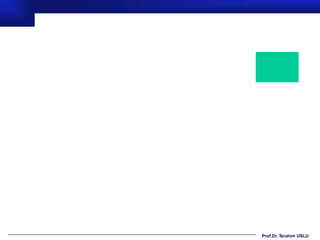 Prof.Dr. İbrahim USLU
 