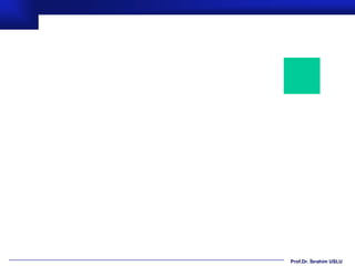 Prof.Dr. İbrahim USLU
 