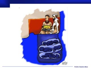 Prof.Dr. İbrahim USLU
 