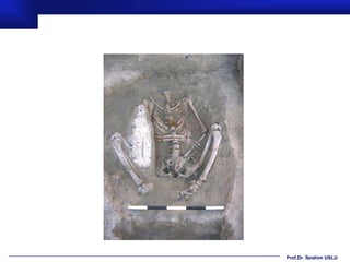 Prof.Dr. İbrahim USLU
 