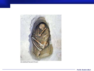 Prof.Dr. İbrahim USLU
 