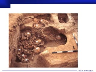 Prof.Dr. İbrahim USLU
 