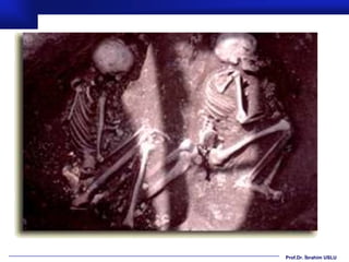 Prof.Dr. İbrahim USLU
 