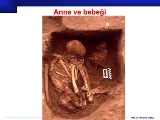 Anne ve bebeği




                 Prof.Dr. İbrahim USLU
 
