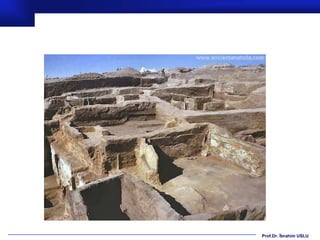 Prof.Dr. İbrahim USLU
 