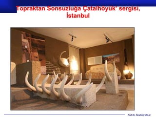 Topraktan Sonsuzluğa Çatalhöyük’ sergisi,
               İstanbul




                                    Prof.Dr. İbrahim USLU
 