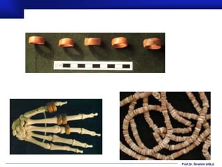 Prof.Dr. İbrahim USLU
 