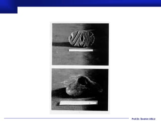 Prof.Dr. İbrahim USLU
 