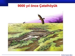 9000 yıl önce Çatalhöyük




                           Prof.Dr. İbrahim USLU
 