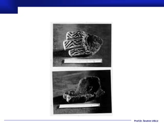 Prof.Dr. İbrahim USLU
 